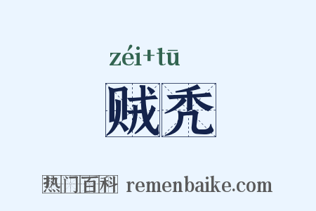 贼秃是什么意思的图片